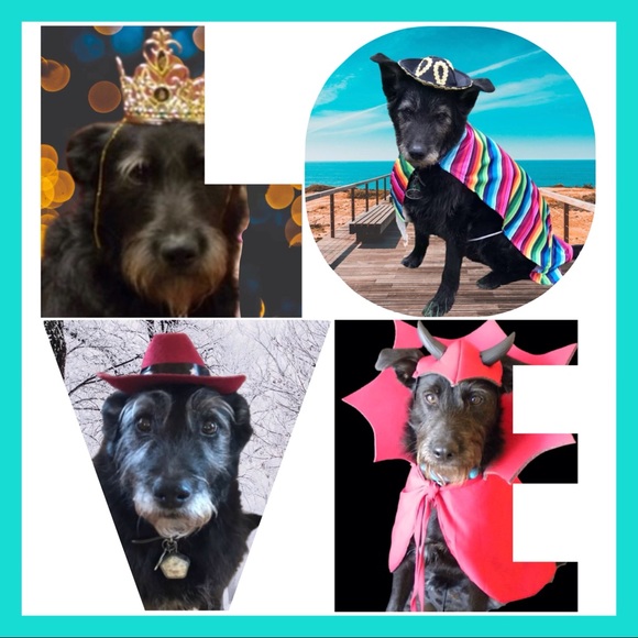 Meet your Posher, Christine - Picture 2 of 10